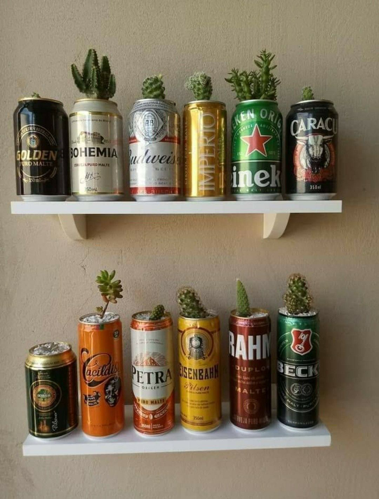 can pot plants